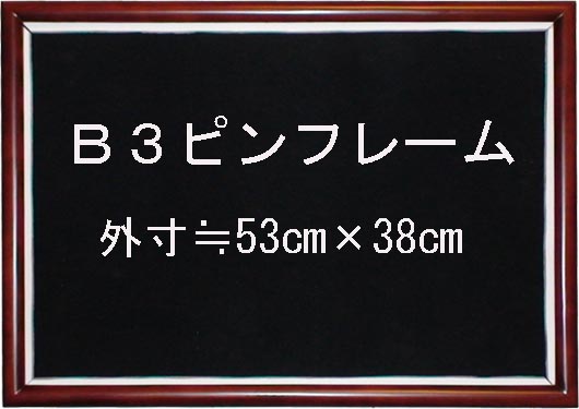 49792740605B3_1.jpg